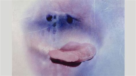 Sex positivity after 70: Marilyn Minter’s sensual ...